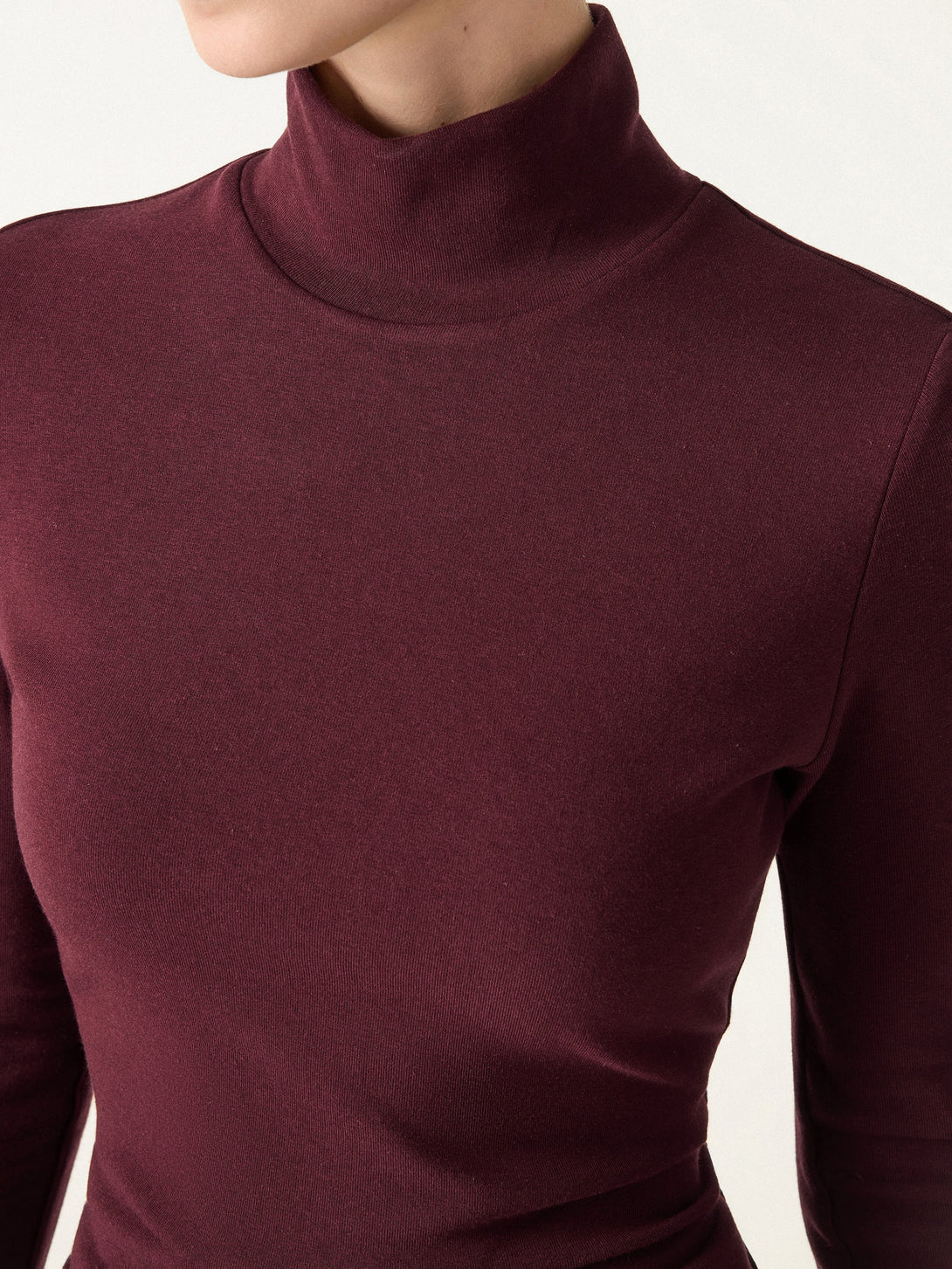 ProWarm Turtleneck Long Sleeve Brami